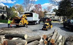 Pleasant Grove, OH Tree Services Company